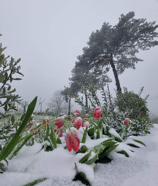 Ponte del 25 aprile tra pioggia e neve, rischio valanghe in Piemonte